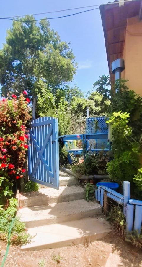 Cabanas Aire Marino Algarrobo Zewnętrze zdjęcie