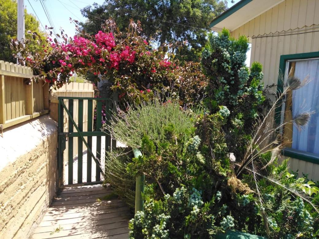 Cabanas Aire Marino Algarrobo Zewnętrze zdjęcie