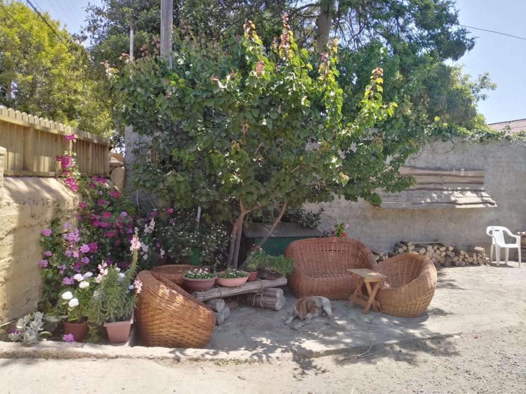 Cabanas Aire Marino Algarrobo Zewnętrze zdjęcie