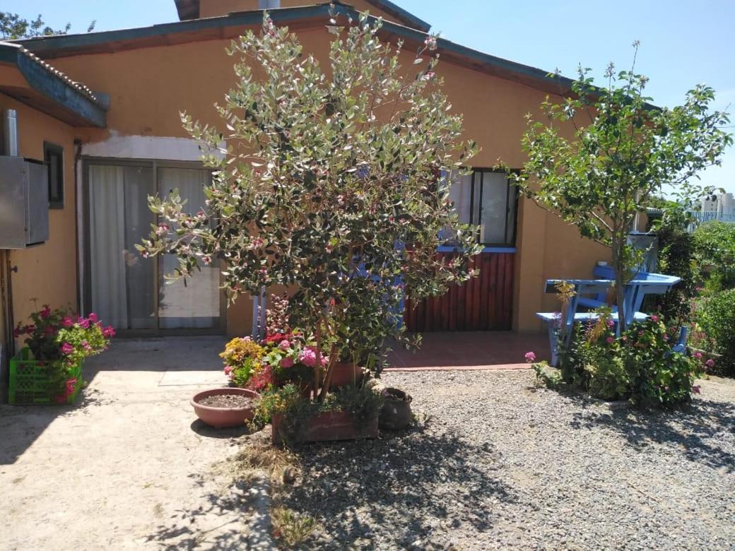 Cabanas Aire Marino Algarrobo Zewnętrze zdjęcie